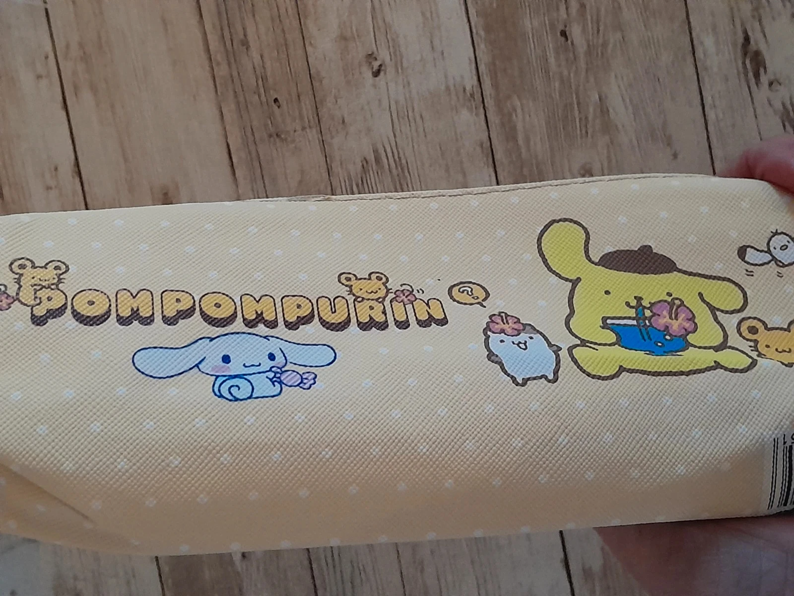 School- of make-uptas, Sanrio, Pompompurin – photo 5
